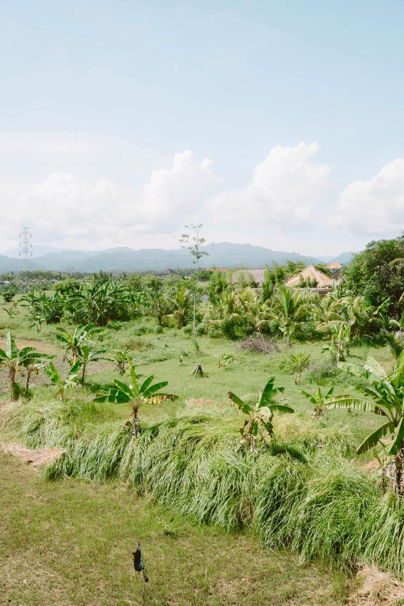 Three Palms Surf & Stay Medewi Airsatang Bagian luar foto